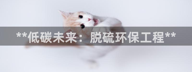最新彩名堂计划：**低碳未来：脱硫环