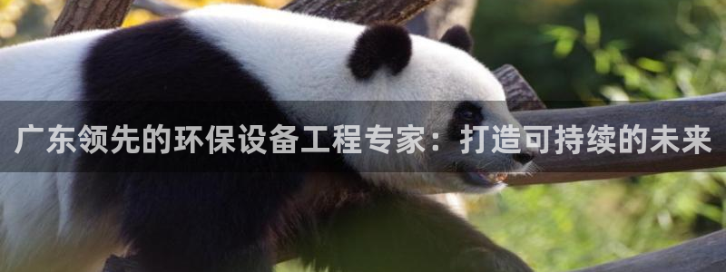 彩名堂官方软件下载：广东领先的环保设