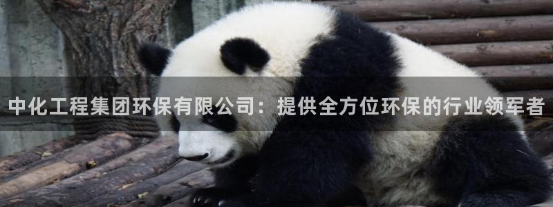 彩名堂5.0计划：中化工程集团环保有