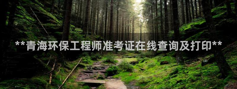 彩名堂5.0计划：**青海环保工程师
