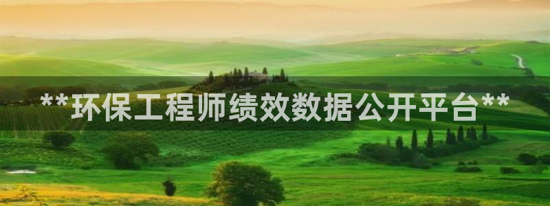 彩名堂官网谁有：**环保工程师绩效数