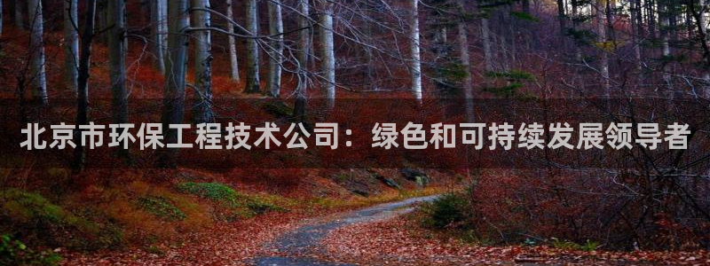 彩名堂为什么用不了了：北京市环保工程