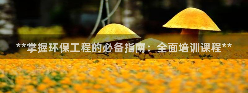 彩名堂用不了：**掌握环保工程的必备