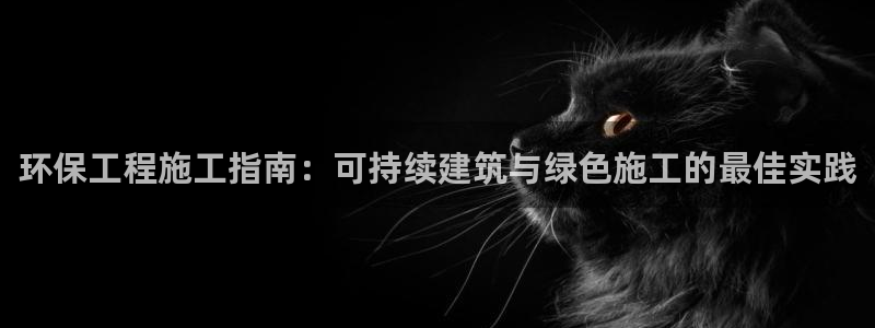 彩名堂3d：环保工程施工指南：可持续