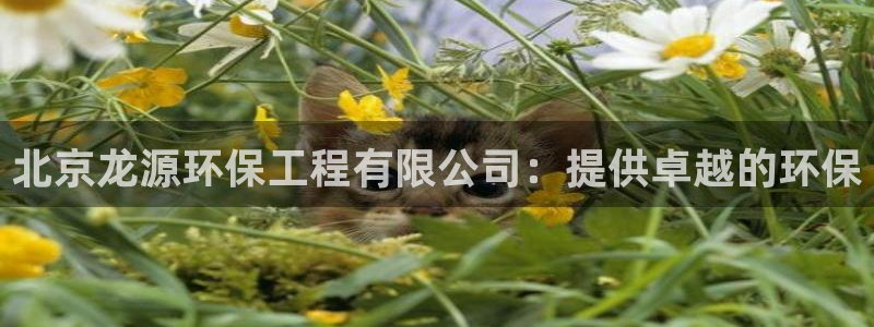 彩名堂5.0计划：北京龙源环保工程有