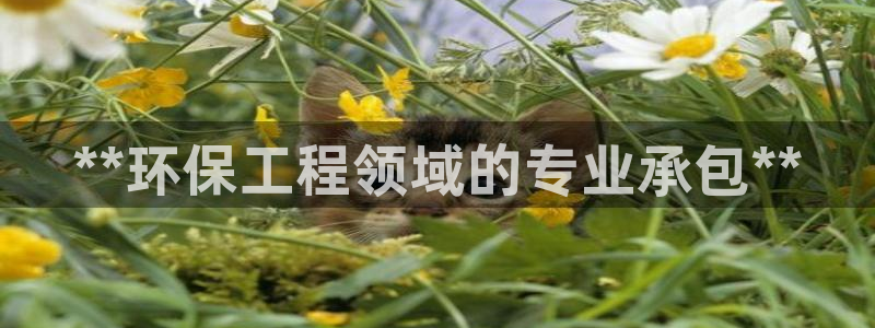 彩名堂预测计划：**环保工程领域的专
