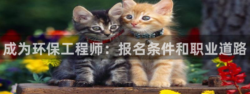 彩名堂手机客户端官网：成为环保工程师：报名条件和职业道路
