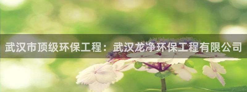 正规彩名堂官网计划01：武汉市顶级环保工程：武汉龙净环保工程有限公司