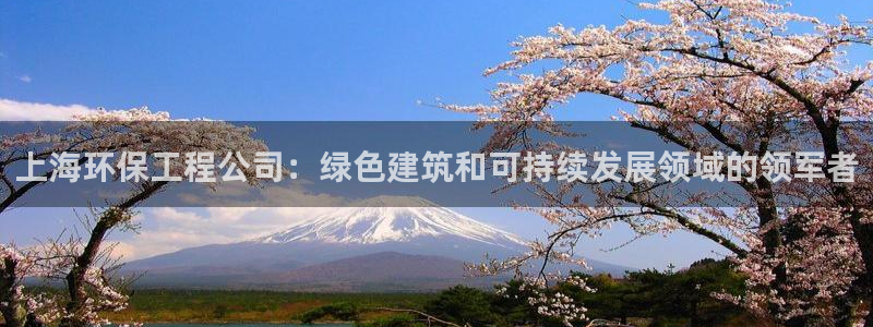 如何进入彩名堂官网更新：上海环保工程