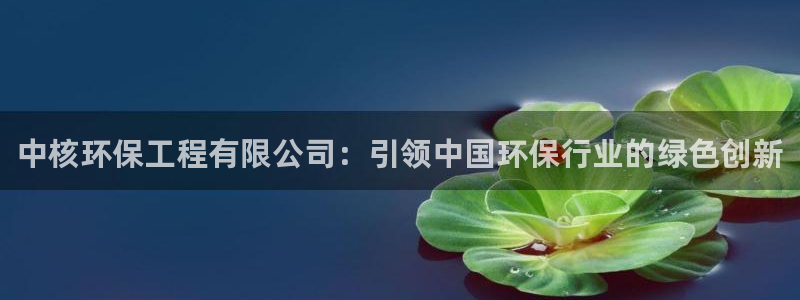 彩名堂官网网页计划：中核环保工程有限公司：引领中国环保行业的绿色创新