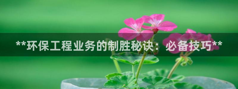 彩名堂双彩网：**环保工程业务的制胜