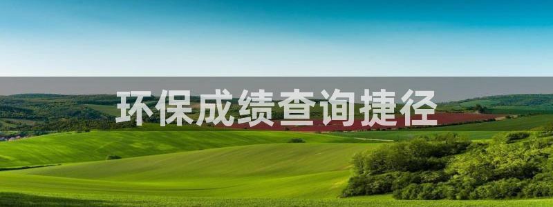 彩名堂客服：环保成绩查询捷径