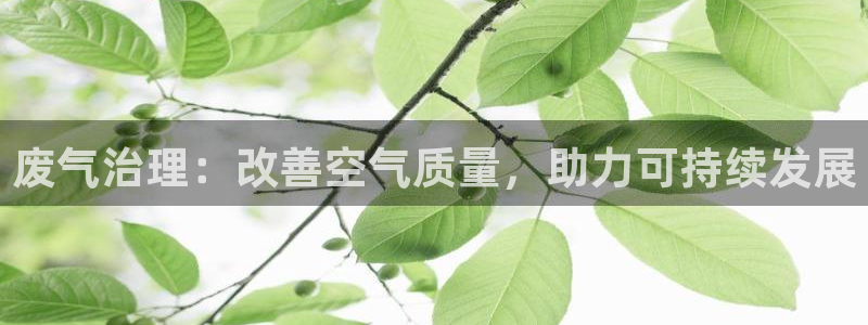 彩名堂为啥不准了乱变：废气治理：改善