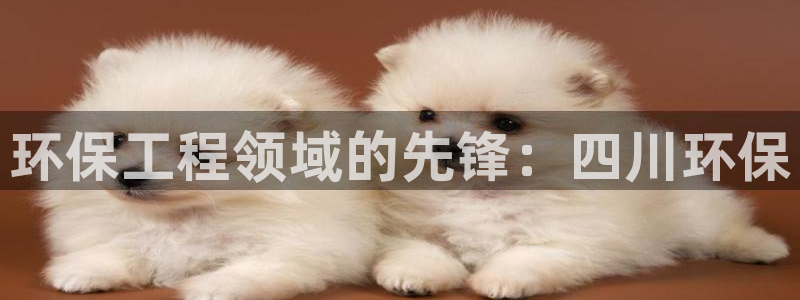 彩名堂官网计划怎么下载：环保工程领域