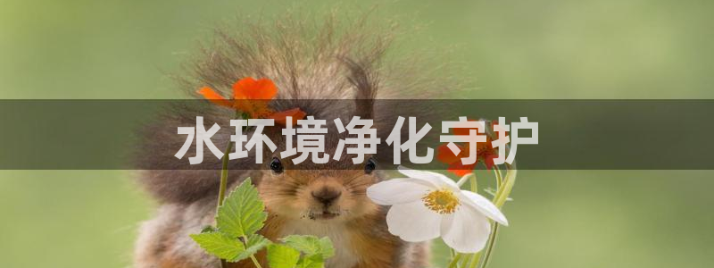 彩名堂人工计划客户端官网：水环境净化