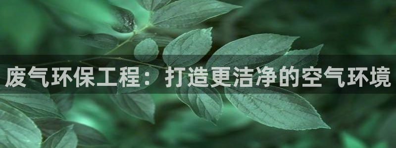 彩名堂免费计划使用方法是什么：废气环保工程：打造更洁净的空气环境