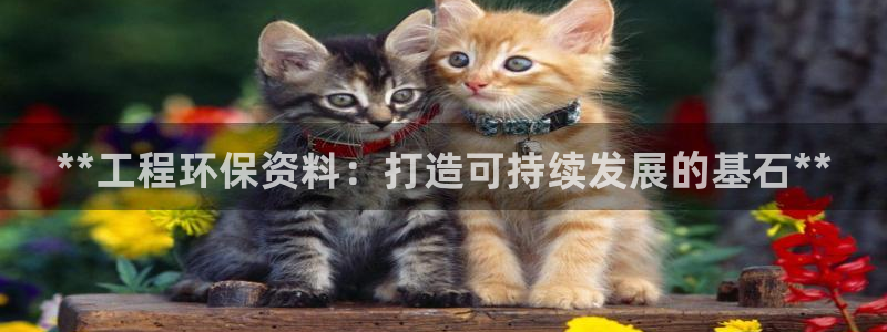 正规彩名堂官网计划01：**工程环保