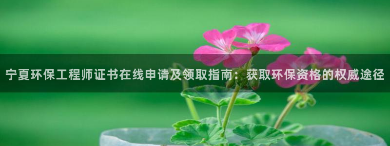 正规彩名堂官网计划：宁夏环保工程师证