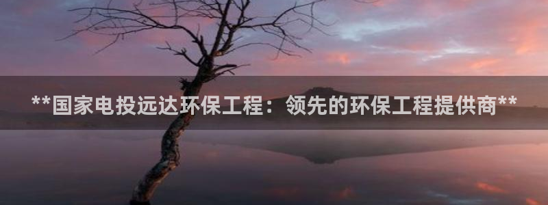 彩名堂怎么选稳定计划：**国家电投远