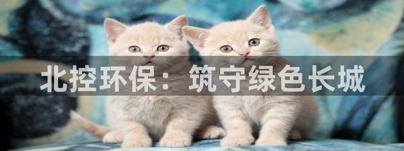 彩名堂计划官方下载网址：北控环保：筑