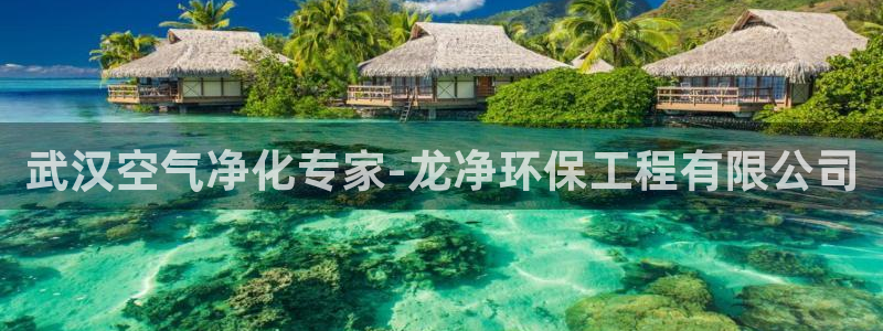 彩名堂上推荐的几个平台怎样：武汉空气净化专家-龙净环保工程有限公司