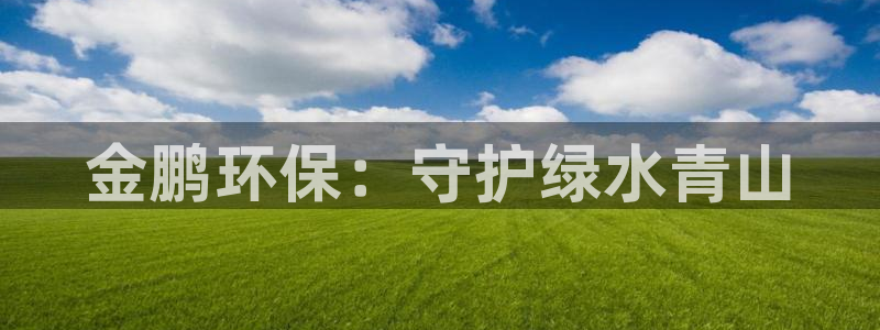 彩名堂APP下载：金鹏环保：守护绿水