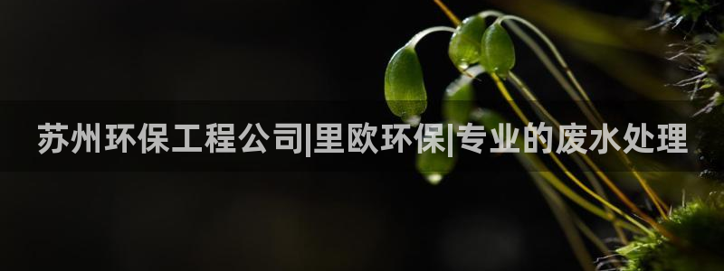 彩名堂.netnet：苏州环保工程公