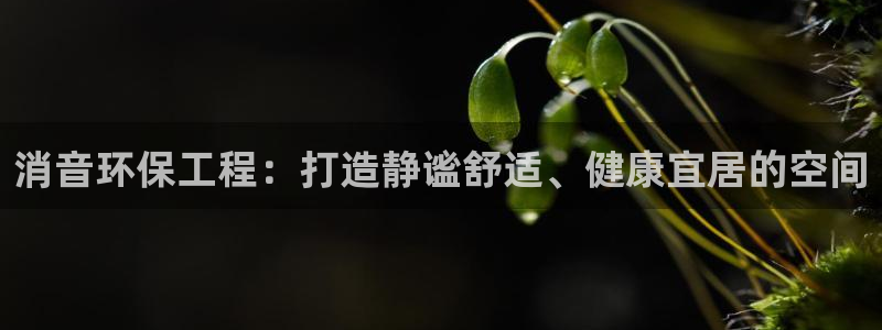 彩名堂是不是坑人的东西：消音环保工程