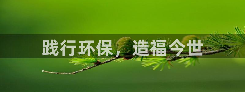 彩名堂一直不出结果怎么回事呢：践行环
