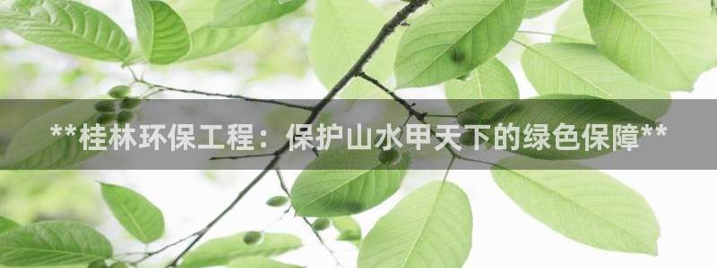 彩名堂苹果客户端：**桂林环保工程：保护山水甲天下的绿色保障**