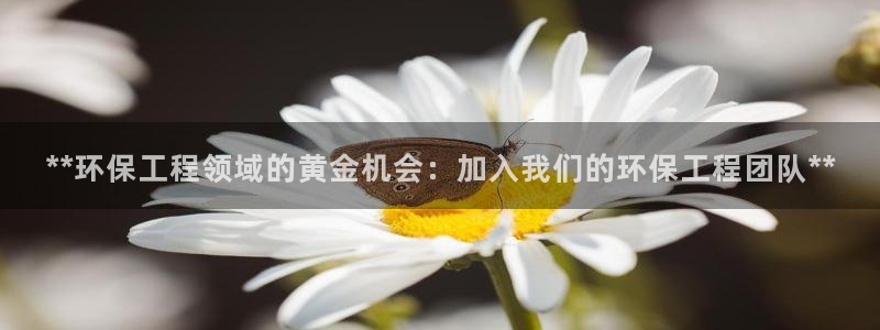 最新彩名堂计划：**环保工程领域的黄