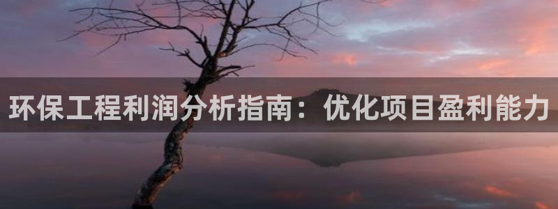 彩名堂3d：环保工程利润分析指南：优