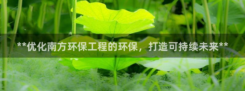 彩名堂客服：**优化南方环保工程的环