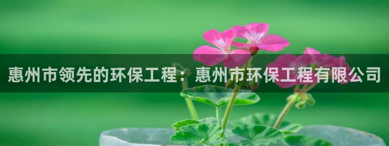 彩名堂官方软件下载：惠州市领先的环保
