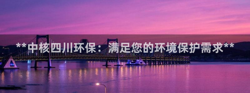 彩名堂客户端加拿大：**中核四川环保