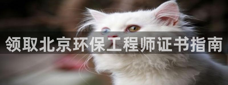 彩名堂官方平台：领取北京环保工程师证