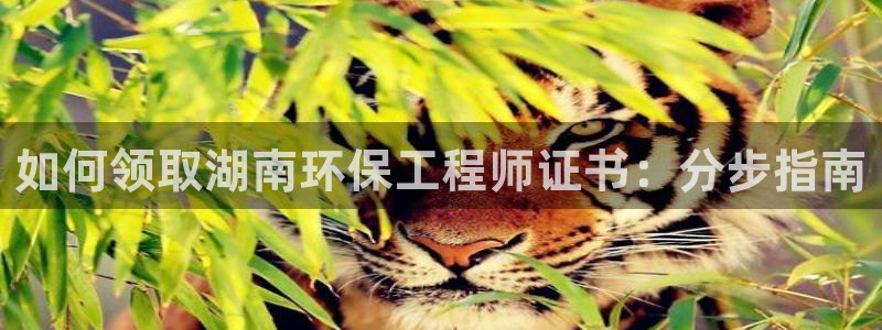彩名堂在线下载：如何领取湖南环保工程