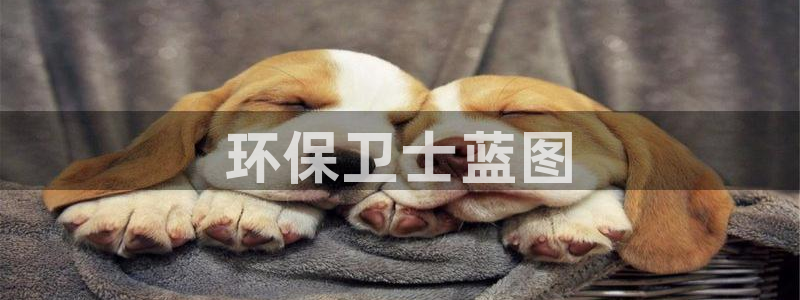 彩名堂为什么突然不能用了：环保卫士蓝
