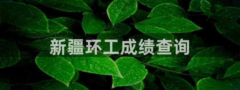 彩名堂计划怎么跟不挂：新疆环工成绩查询