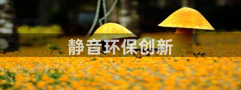 彩名堂预测计划：静音环保创新