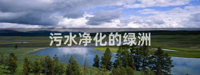 谁知道彩名堂网站是多少：污水净化的绿