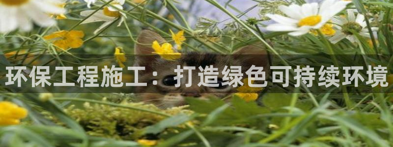 彩名堂预测网站：环保工程施工：打造绿