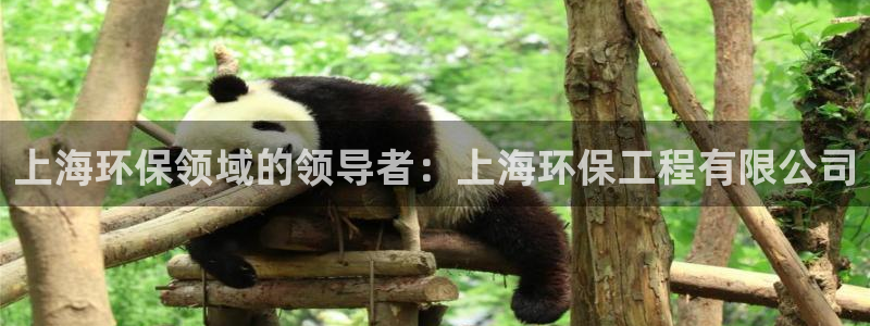彩名堂人工预测免费计划：上海环保领域