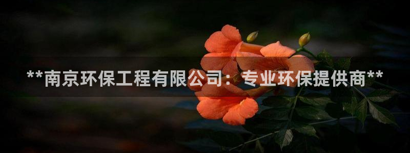 彩名堂免费计划客户端官网：**南京环
