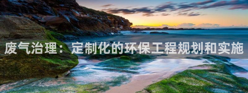 彩名堂怎么打不开了：废气治理：定制化
