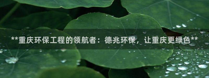 彩名堂：**重庆环保工程的领航者：德