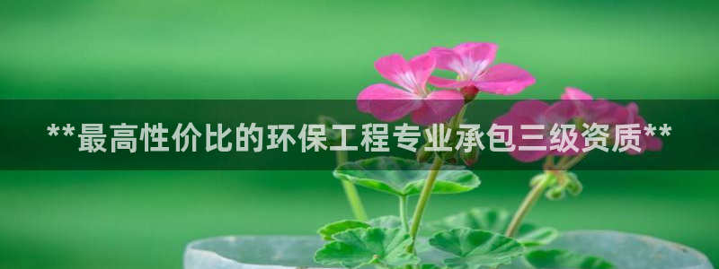 彩名堂怎么选稳定计划：**最高性价比