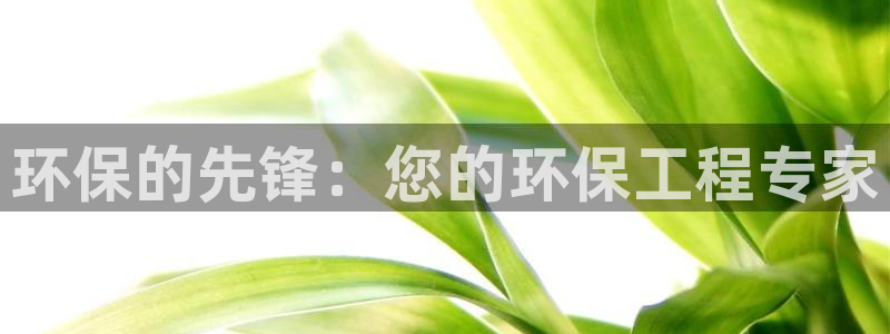 彩名堂改名稻草人了吗：环保的先锋：您