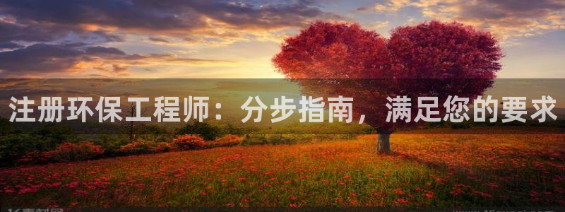 彩名堂：注册环保工程师：分步指南，满