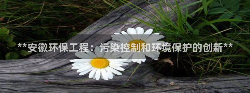 正规彩名堂官网计划：**安徽环保工程